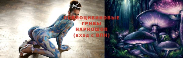 spice Вязьма
