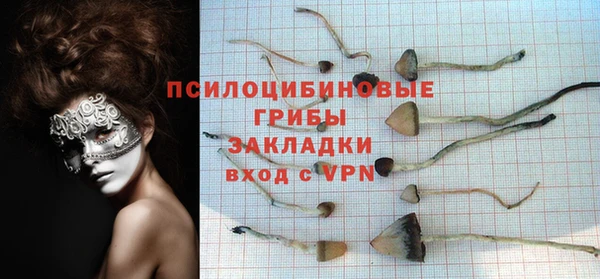 меф Вяземский